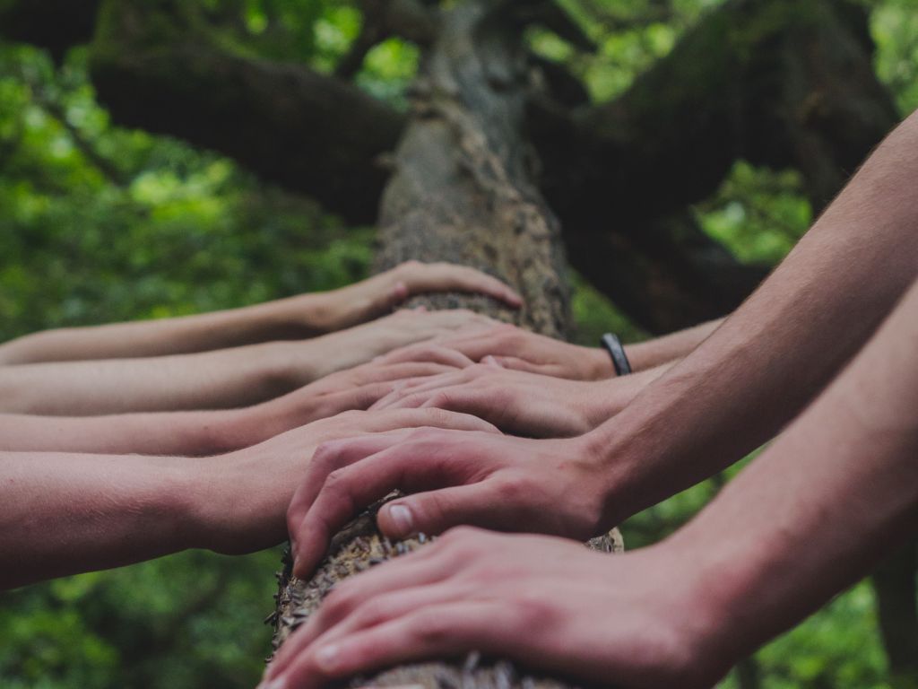 Meeskonnarada,koostöö. Erinevad käed hoiavad üheskoos puust kinni.