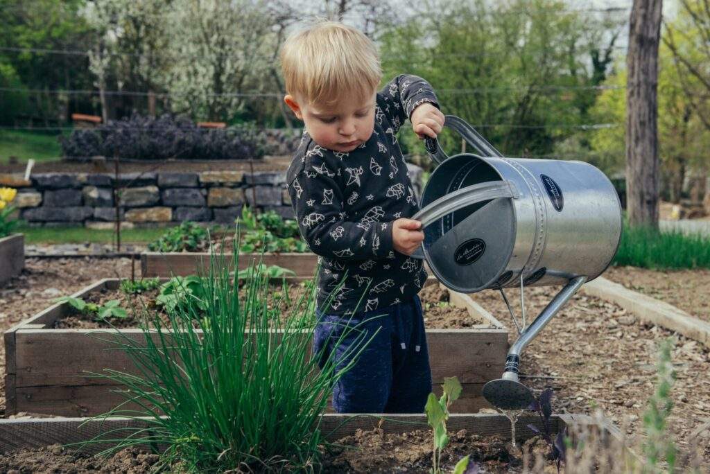 Little kid is nurturing a plant. Adventure park.